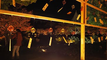 国営昭和記念公園 秋の夜散歩に投稿された画像（2023/11/26）