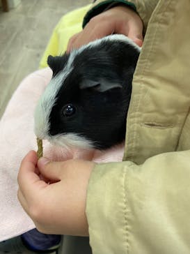 成田ゆめ牧場に投稿された画像（2023/11/26）