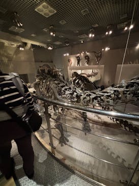 国立科学博物館に投稿された画像（2023/11/26）