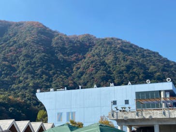 大分マリーンパレス水族館 「うみたまご」に投稿された画像（2023/11/27）