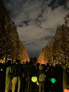 NAKED 紅葉の新宿御苑2023に投稿された画像（2023/11/27）