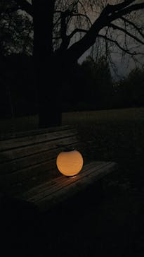 NAKED 紅葉の新宿御苑2023に投稿された画像（2023/11/27）