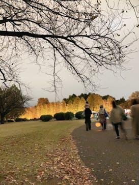 NAKED 紅葉の新宿御苑2023に投稿された画像（2023/11/27）