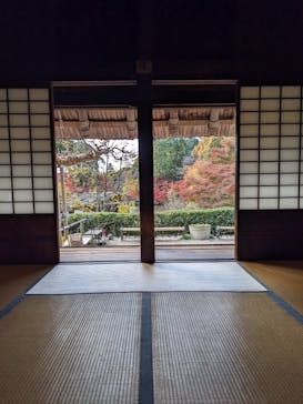 名古屋市東山動植物園に投稿された画像（2023/11/26）