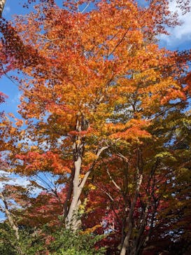 名古屋市東山動植物園に投稿された画像（2023/11/26）