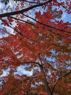 名古屋市東山動植物園に投稿された画像（2023/11/26）