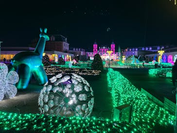 神戸イルミナージュに投稿された画像（2023/11/27）