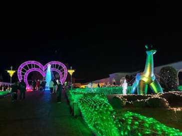 神戸イルミナージュに投稿された画像（2023/11/27）