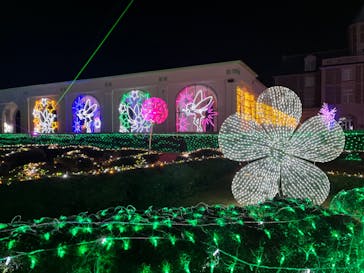 神戸イルミナージュに投稿された画像（2023/11/27）