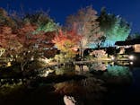 国営昭和記念公園 秋の夜散歩に投稿された画像（2023/11/27）