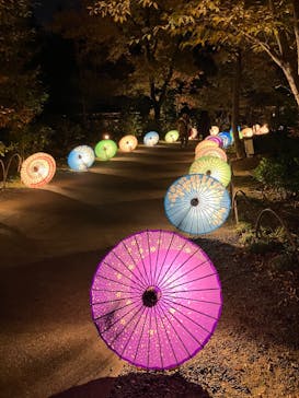 国営昭和記念公園 秋の夜散歩に投稿された画像（2023/11/27）