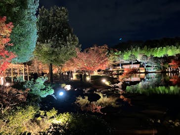 国営昭和記念公園 秋の夜散歩に投稿された画像（2023/11/27）