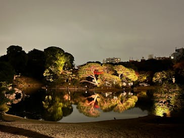 六義園に投稿された画像（2023/11/27）