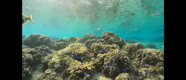 武藤潜水に投稿された画像（2023/11/27）