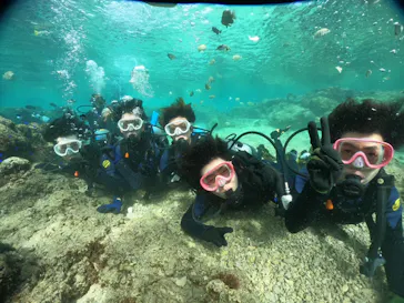 武藤潜水に投稿された画像（2023/11/27）