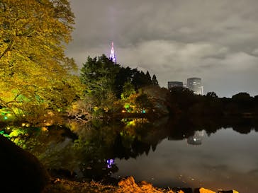 NAKED 紅葉の新宿御苑2023に投稿された画像（2023/11/27）