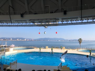 マリンワールド海の中道に投稿された画像（2023/11/27）