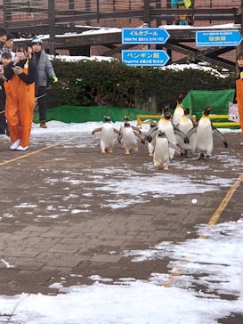 登別マリンパークニクスに投稿された画像（2023/11/27）