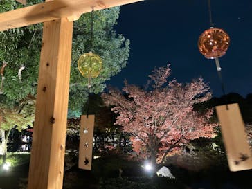 国営昭和記念公園 秋の夜散歩に投稿された画像（2023/11/27）