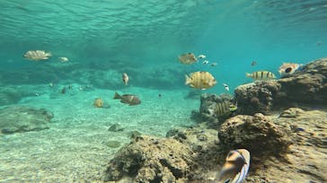 沖縄マリンサービス碧に投稿された画像（2023/11/27）