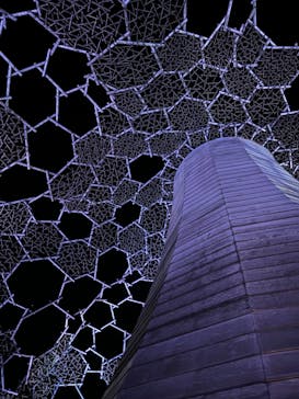 自然体感展望台 六甲枝垂れに投稿された画像（2023/11/27）