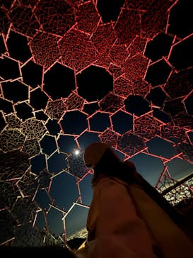 自然体感展望台 六甲枝垂れに投稿された画像（2023/11/27）