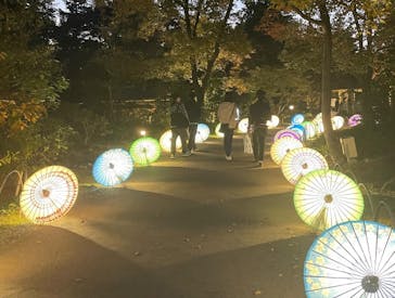 国営昭和記念公園 秋の夜散歩に投稿された画像（2023/11/27）