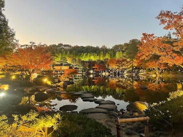 国営昭和記念公園 秋の夜散歩に投稿された画像（2023/11/27）