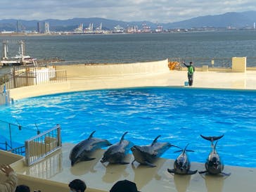 マリンワールド海の中道に投稿された画像（2023/11/27）