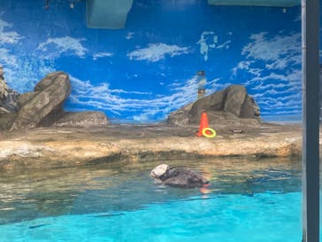 マリンワールド海の中道に投稿された画像（2023/11/27）