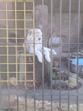 東北サファリパークに投稿された画像（2023/11/27）