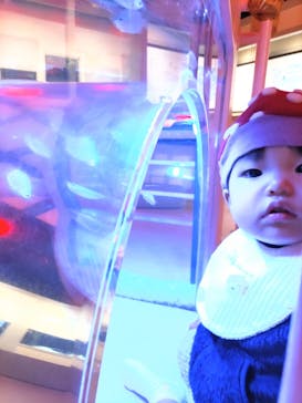 横浜開運水族館 フォーチュンアクアリウムに投稿された画像（2023/11/27）