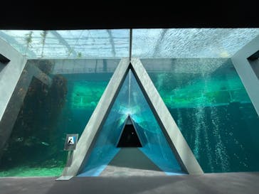 環境水族館アクアマリンふくしまに投稿された画像（2023/11/27）