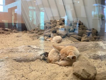 環境水族館アクアマリンふくしまに投稿された画像（2023/11/27）