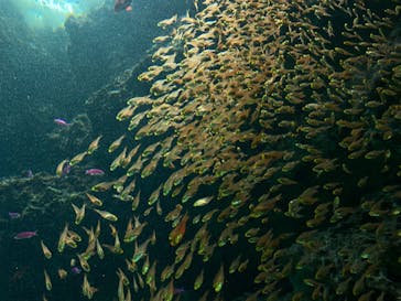 環境水族館アクアマリンふくしまに投稿された画像（2023/11/27）