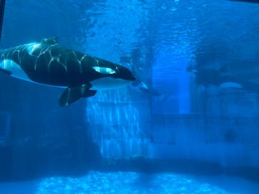 名古屋港水族館に投稿された画像（2023/11/27）