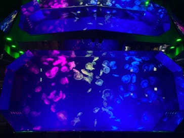 名古屋港水族館に投稿された画像（2023/11/27）