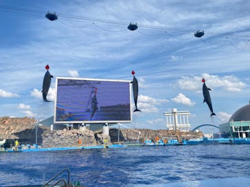 名古屋港水族館に投稿された画像（2023/11/27）