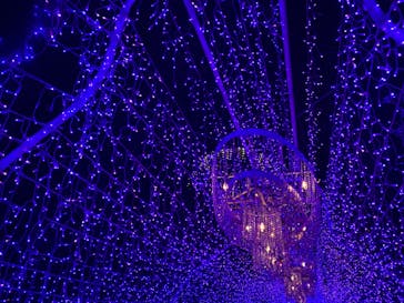 江の島シーキャンドルに投稿された画像（2023/11/27）