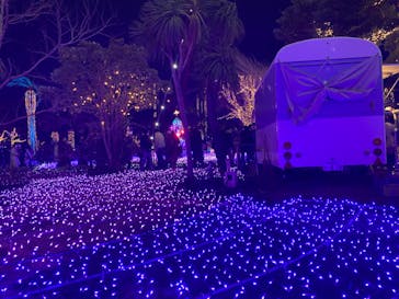 江の島シーキャンドルに投稿された画像（2023/11/27）