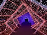 KYOTO ILLUMINATION SYNESTHESIA HILLS るり渓温泉に投稿された画像（2023/11/27）