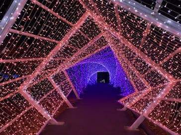 KYOTO ILLUMINATION SYNESTHESIA HILLS るり渓温泉に投稿された画像（2023/11/27）