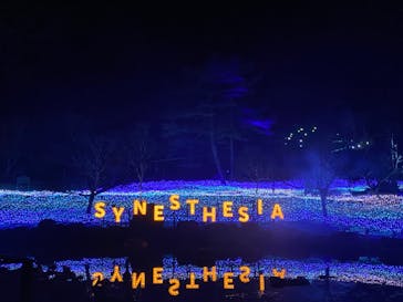 KYOTO ILLUMINATION SYNESTHESIA HILLS るり渓温泉に投稿された画像（2023/11/27）
