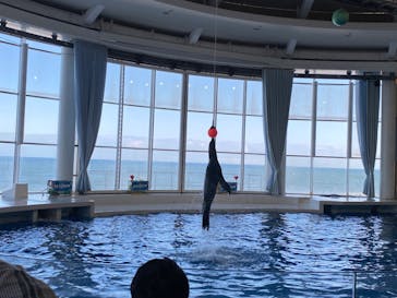 アクアワールド茨城県大洗水族館に投稿された画像（2023/11/27）