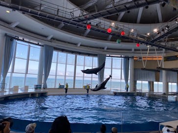 アクアワールド茨城県大洗水族館に投稿された画像（2023/11/27）