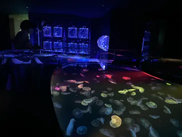 すみだ水族館に投稿された画像（2023/11/27）