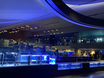 すみだ水族館に投稿された画像（2023/11/27）