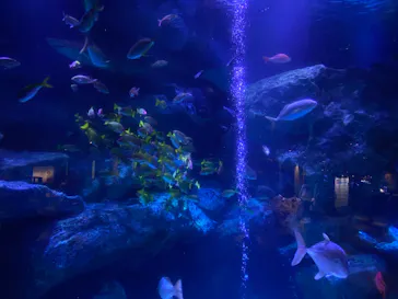 すみだ水族館に投稿された画像（2023/11/27）