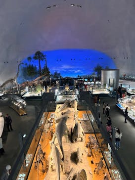 福井県立恐竜博物館に投稿された画像（2023/11/27）