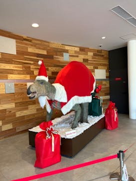 福井県立恐竜博物館に投稿された画像（2023/11/27）